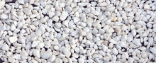 A Lot Of Round And Oval Stones Of White Color Lie On The Ground In The Garden
