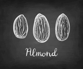 Wall Mural - Chalk sketch of almond.