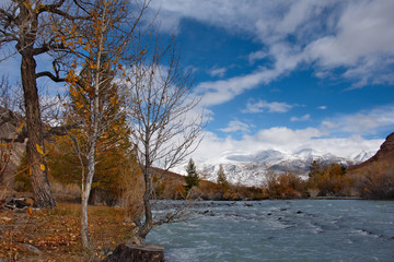 Wall Mural - Russia. The South Of Western Siberia. Autumn in the Altai Mountains near the natural Park 