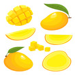 Bright vector set of fresh exotic mango isolated on white