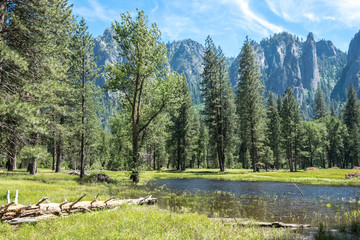 Sticker - Forest, lakes and rivers of the Yosemite Valley. Yosemite National Park, California, USA