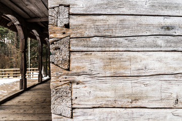 Old wood log textured background