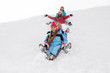 © Africa Studio - Group of happy friends sliding down the snowy hill. Winter vacation