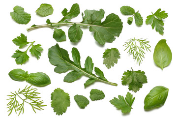 green fresh rucola leaves isolated on white background. Rocket salad or arugula.