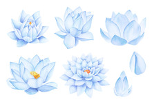Beautiful Blue Lotus Flowers. Watercolor Illustration. Pure Water Blossom. Yoga, Zen Meditation Symbol. China And Japan Symbol. 