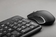 © alexshyripa - computer mouse near the keyboard