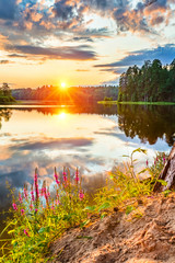 Wall Mural - Beautiful sunset over lake in a forest