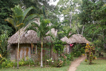 Wall Mural - Typical farm house in Belize