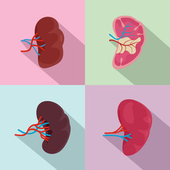 Sticker - spleen milt anatomy icons set. flat illustration of 4 spleen milt anatomy vector icons for web