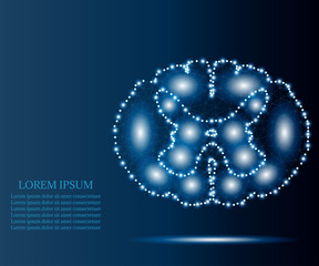 spinal cord polygon blue stars 2