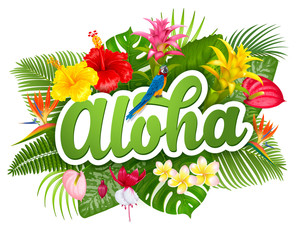 Aloha Hawaii lettering and tropical plants