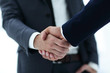 © ASDF - close up of two young male business partner shake hand