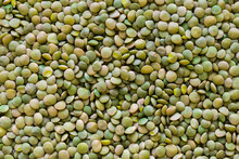 Pile Of Green Lentil Grains Background Surface Texture