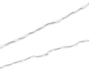 Wall Mural - ripped long hole in sheet of white paper with white resulting background. vector template paper desi