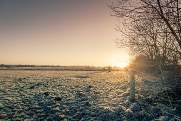 Wall Mural - Rural sunrise in the winter with a frozen meadow