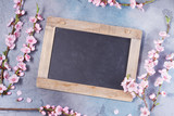 pink cherry blossom