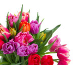 Fototapeta Tulipany - bouquet of tulips and daffodils