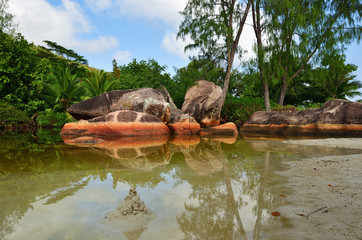 Wall Mural - Seychelles islands scenery