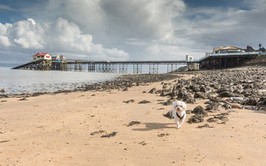 Mumbles pier - Swansea