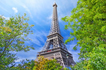 Wall Mural - eiffel tower