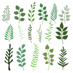 Wall Mural - Plant branch with green garden leaves vector set