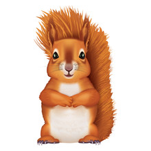 Squirrel. 3d Illustration