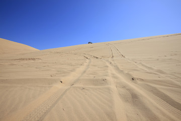 The desert under the blue sky