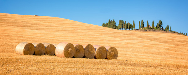 Wall Mural - beautiful typical panorama landscape of val d'orcia in tuscany with hay bales in a field in summer, 