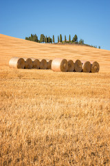 Wall Mural - beautiful typical landscape of val d'orcia in tuscany with hay bales in a field in summer, val d'orc