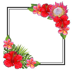 Wall Mural - Tropical flowers bouquet elements at corners of square shape with copy space. Isolated vector illustration of exotic red and pink blooms and green palm leaves for greeting card or invitation.