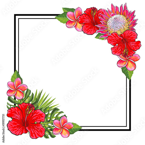 Tropical flowers bouquet elements at corners of square shape with copy space....