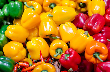 Colorful green , red, yellow and chili pepper.