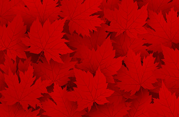 canada day design of red maple leaves background with copy space vector illustration