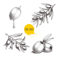 sketch hand drawn olives set. olive fruit with oil drop, boneless olives and olive branches with lea