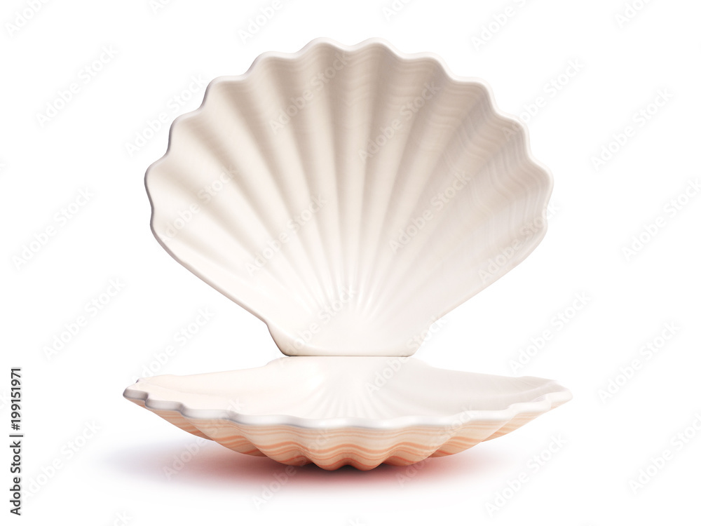 Empty open seashell 3d rendering - obrazy, fototapety, plakaty 