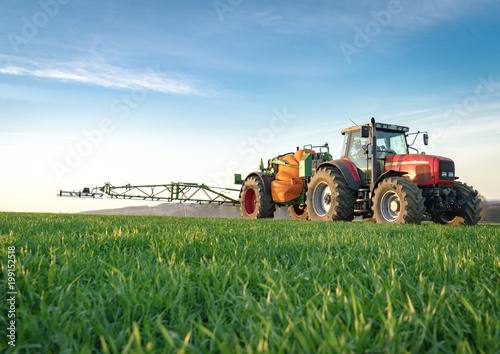 Fotomural Unkrautbekämfung im Frühjahr, roter Traktor mit Feldspritze im jungen Getreidebe
