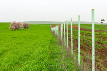 Fence Along Arable Field