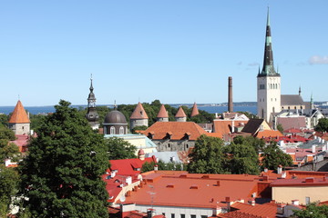 Canvas Print - Panoramic view of Tallinn, Estonia