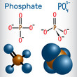 Phosphate anion molecule .  Structural chemical formula and molecule model