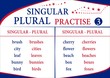 singular plural practise