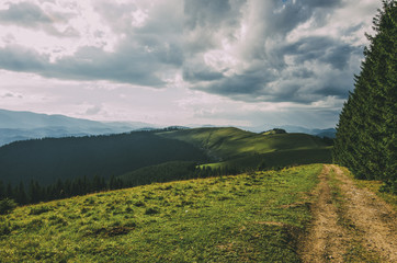 Wall Mural - mountain road with grass hills and trees