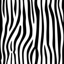 Print Repeated Zebra Texture Black White Background Seamless