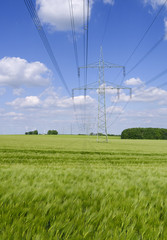 Power Lines: High-voltage power line over a growing barley field in Eastern Thuringia in springtime