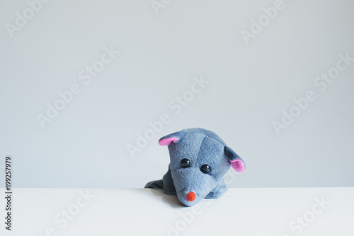 動物 パペット ネズミ ぬいぐるみ Adobe Stock でこのストック画像を購入して 類似の画像をさらに検索 Adobe Stock 動物 パペット ネズミ ぬいぐるみ Adobe Stock でこのストック画像を購入して 類似の画像をさらに検索 Adobe Stock