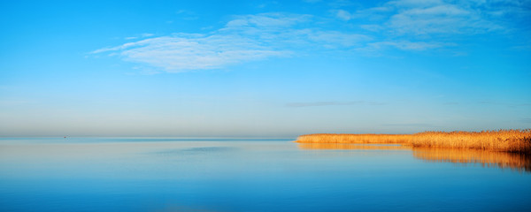 Wall Mural - Calm Panoramic Seascape with Golden Reeds at Sunrise