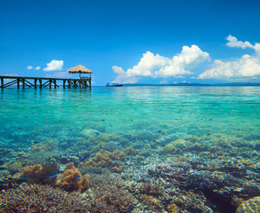 Wall Mural - Beautiful coastline landscape with coral reef in Indonesia underwater and over water