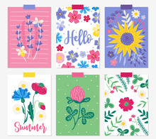 Six Summer Cards With Lavender, Viola, Sunflower, Leaves, Branches, Poppies