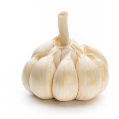 Garlic isolated on the white background.