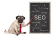 business pug dog holding red pointer, pointing out  search engine optimization, SEO, performance strategy, hand drawn on chalkboard, isolated on white background
