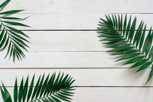 Green Flat Lay Tropical Palm Leaf Branches On White Wooden Planks Background. Room For Text, Copy, Lettering.